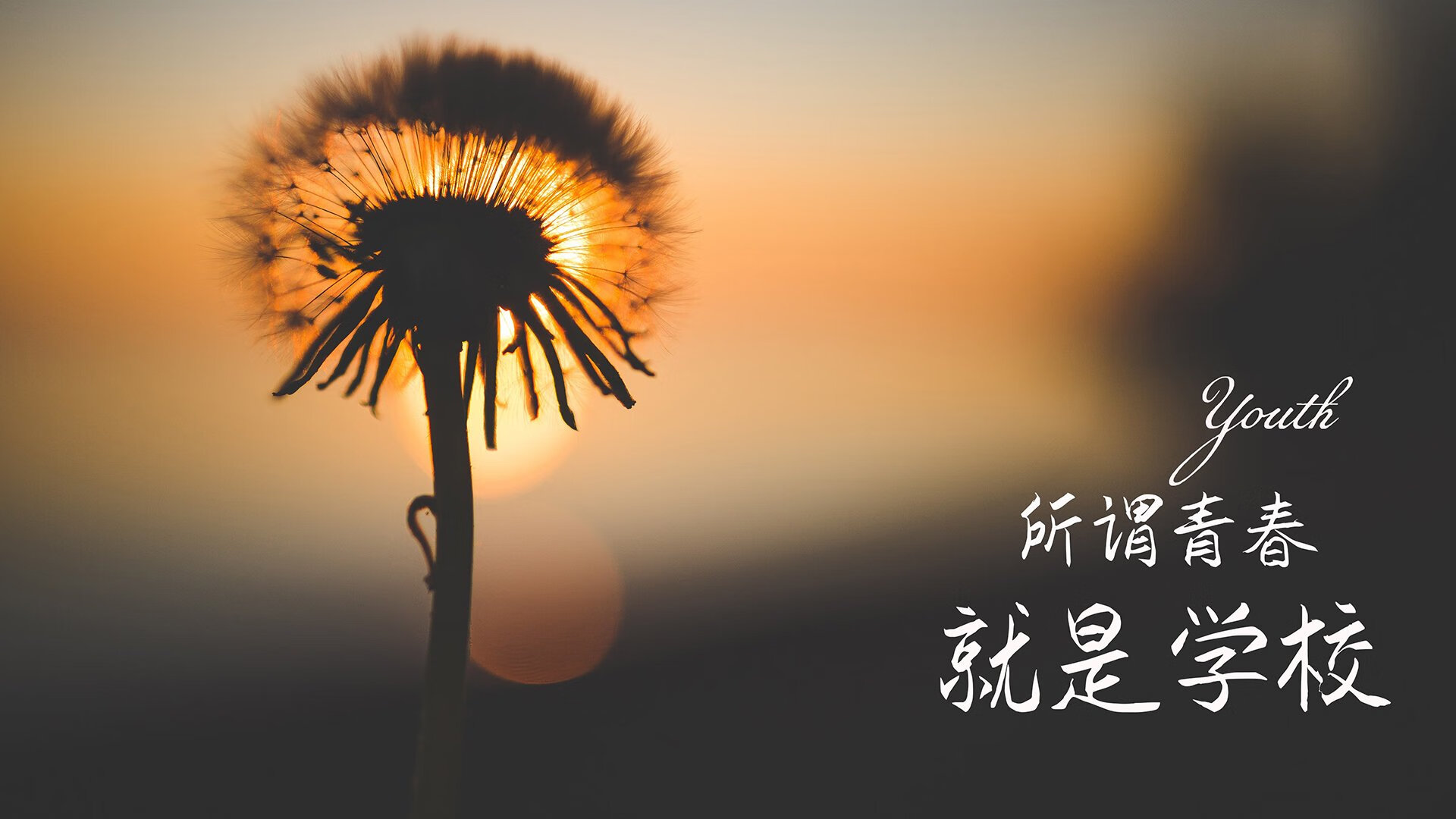 b体育在线平台-《王者荣耀夏季大赛决赛，Bilibili战队闪耀对决》，王者荣耀2019战队争霸赛
