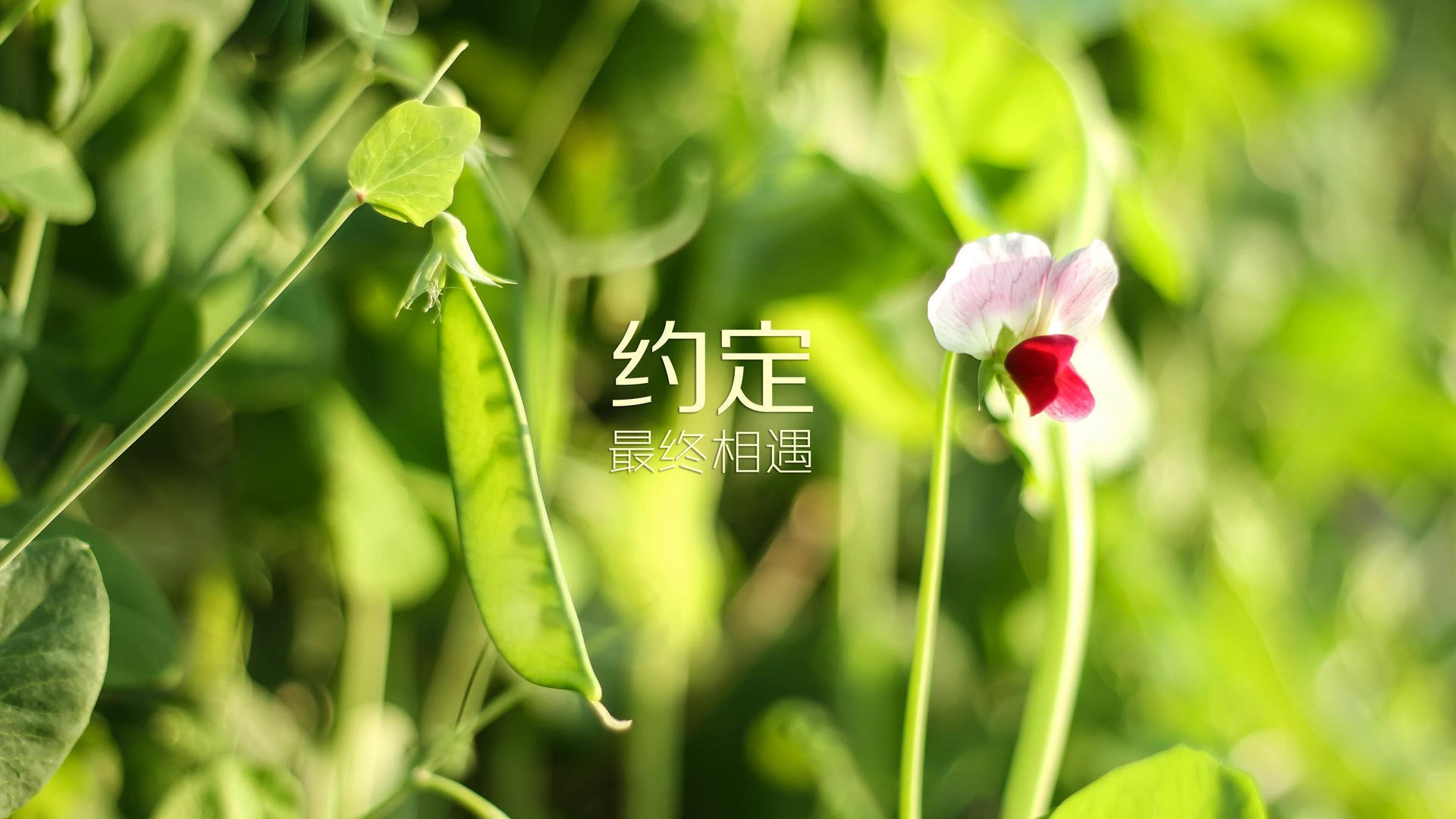 B体育亚洲官方网站-现场气氛火爆：顶级选手油然而生