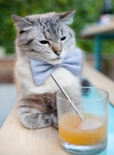 基层足球场地资源紧张制约发展,加强社会足球场地对外开放和运营管理的实施方案