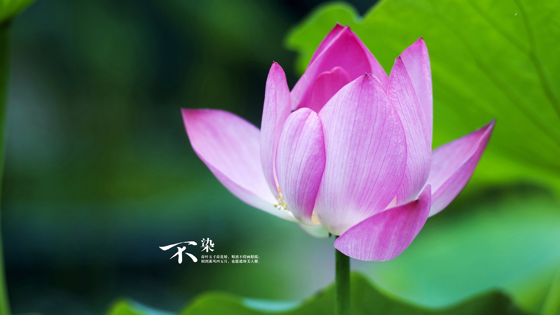 Bsports在线平台-德国队在国际乒联混合团体世界杯中的赛制应对策略，德国乒乓球联赛