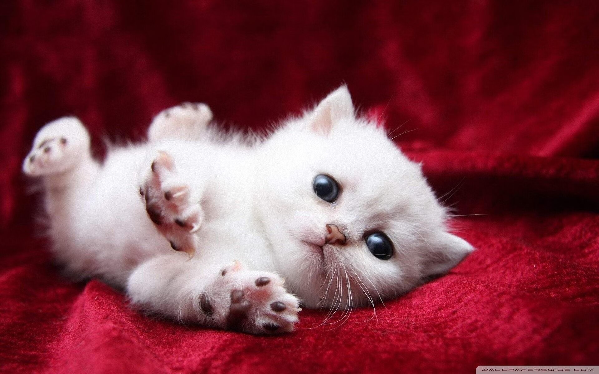 b体育娱乐-节奏节奏节奏是否为现代篮球核心关键之一，篮球节奏打法