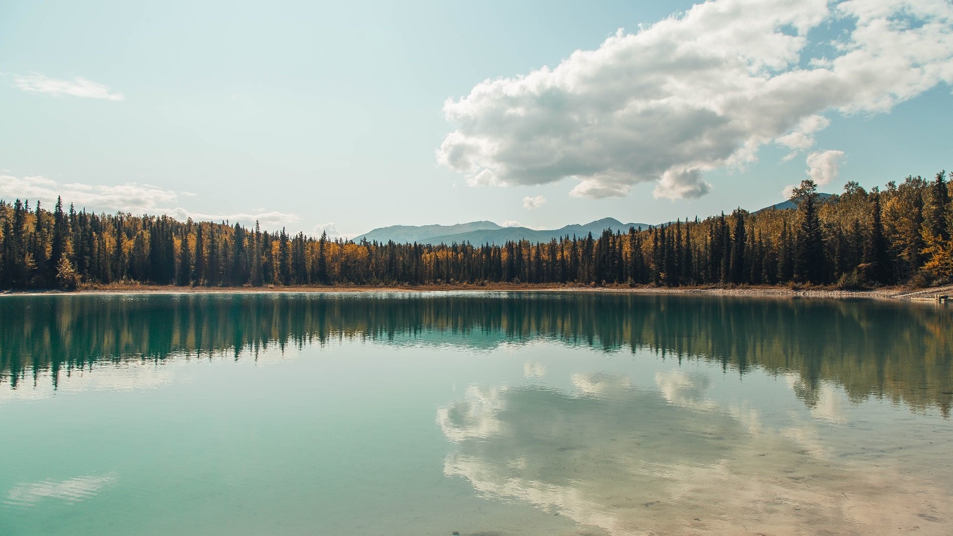 节奏节奏节奏是否为现代篮球核心关键之一,篮球节奏打法