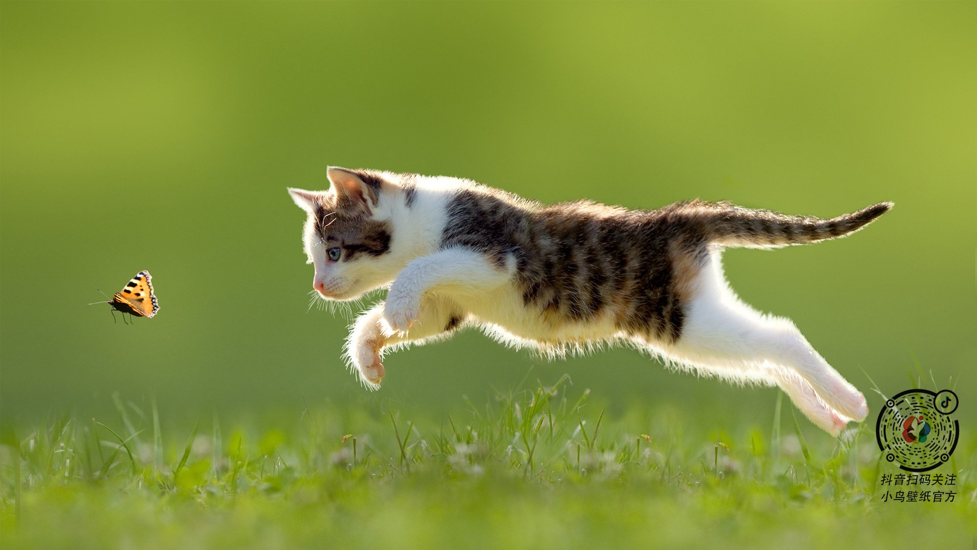 欧洲杯极限扣篮:边路突击中的力量美学,欧洲杯扣篮王