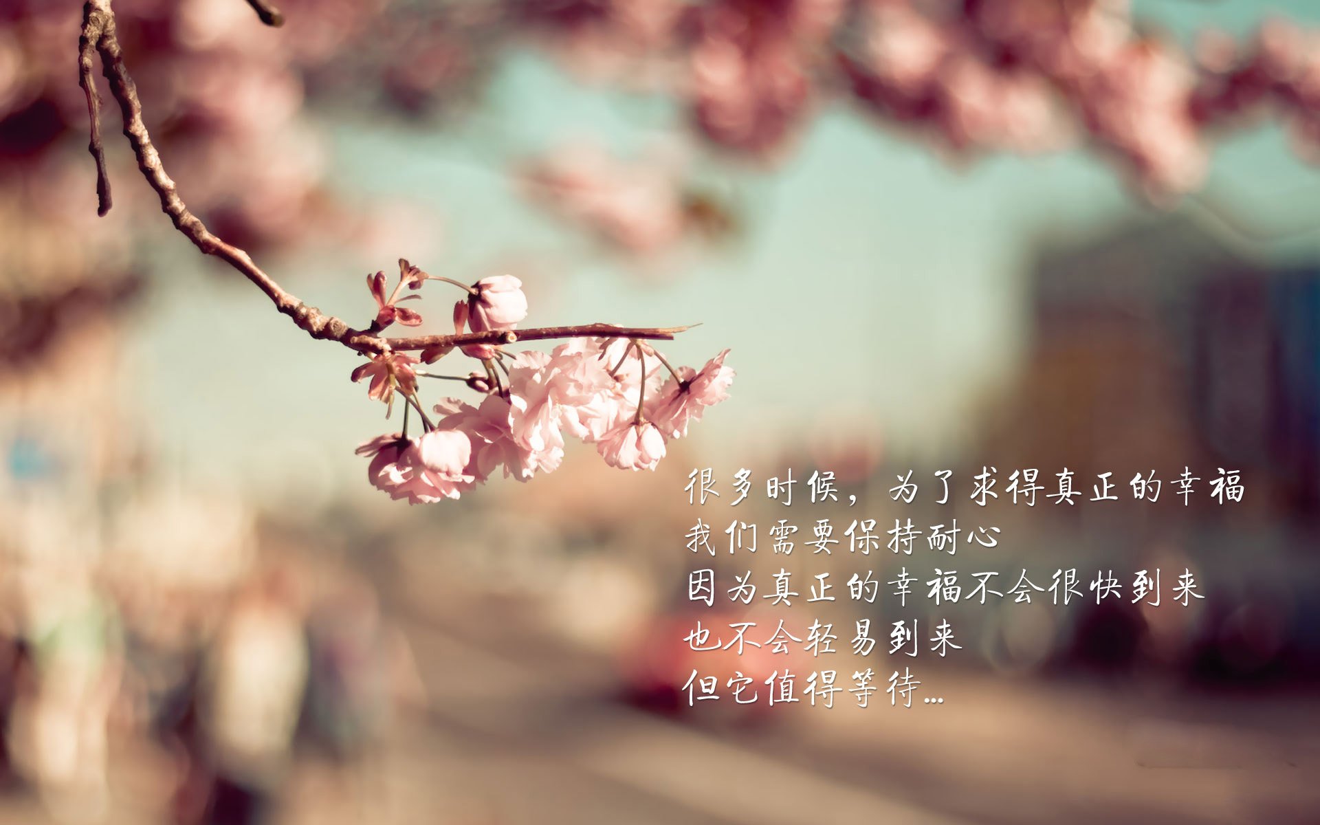 男子组合跳水动作难度系数增加,跳水男团规则