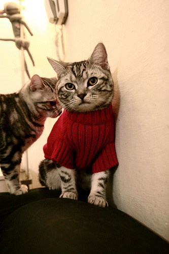 西甲超级精彩:破门、助攻、扑救无一遗漏!,西甲pro