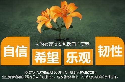 包含B体育APP:中国足球人才培养的瓶颈与突破：基于人力资本理论的词条