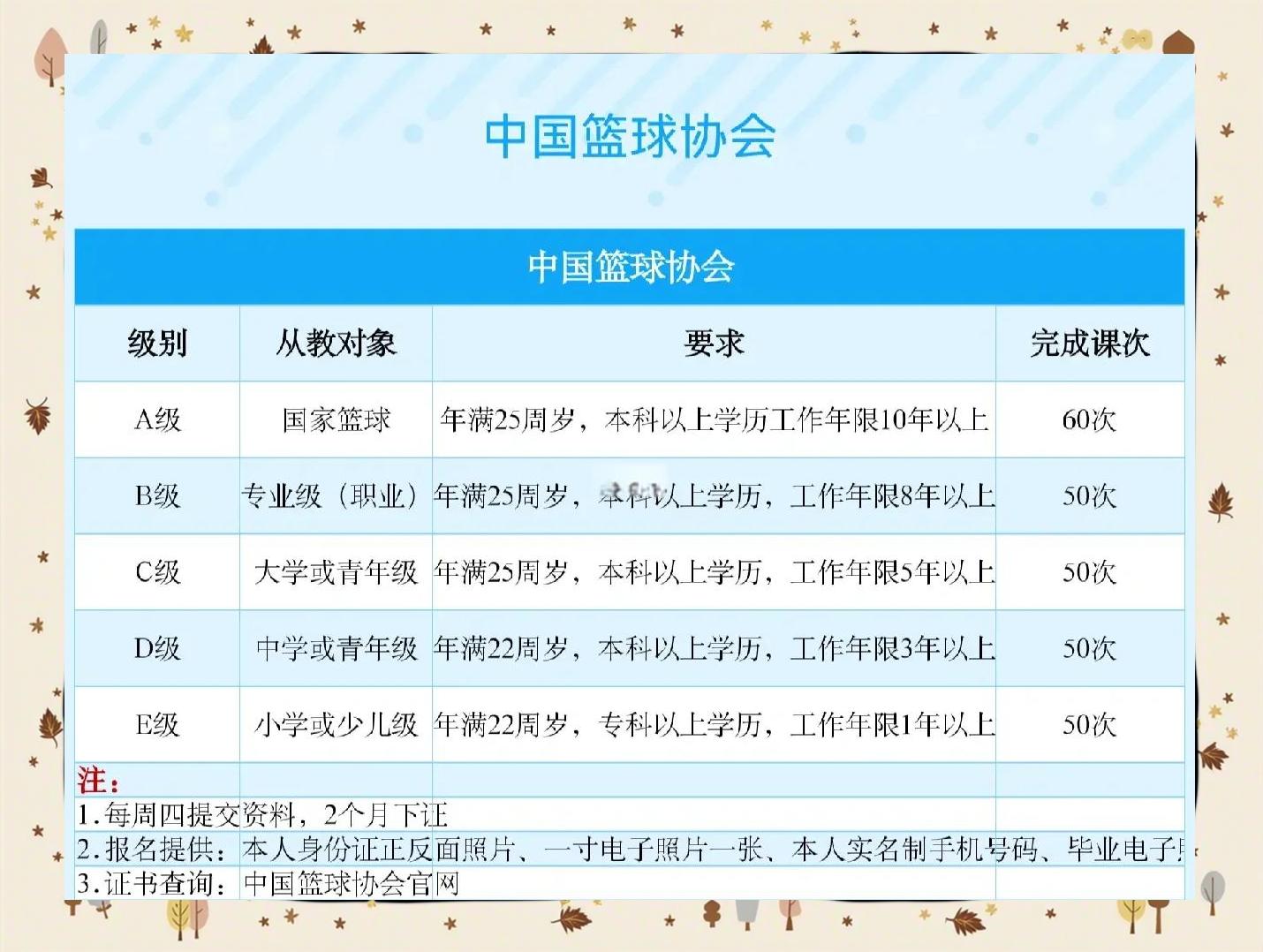 关于B体育官网：中国篮球教练：专业培养，提升水平，打造一流教练团队，为中国篮球培养人才的信息